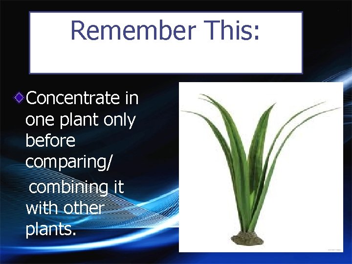 Remember This: Concentrate in one plant only before comparing/ combining it with other plants.