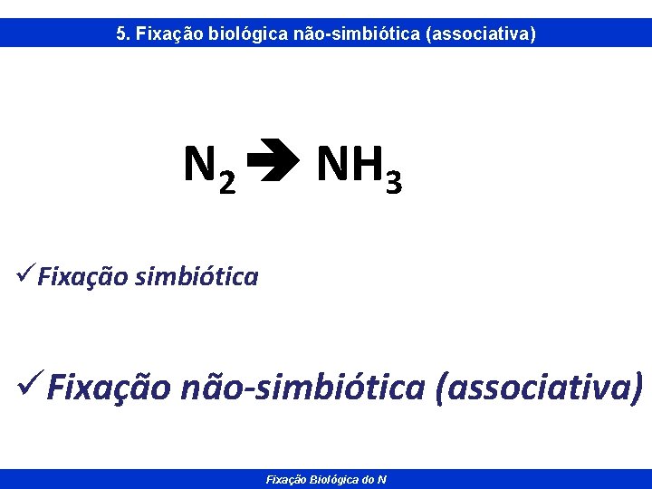 5. Fixação biológica não-simbiótica (associativa) N 2 NH 3 üFixação simbiótica üFixação não-simbiótica (associativa)