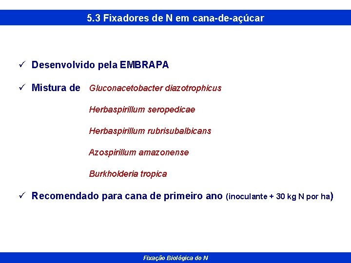 5. 3 Fixadores de N em cana-de-açúcar ü Desenvolvido pela EMBRAPA ü Mistura de