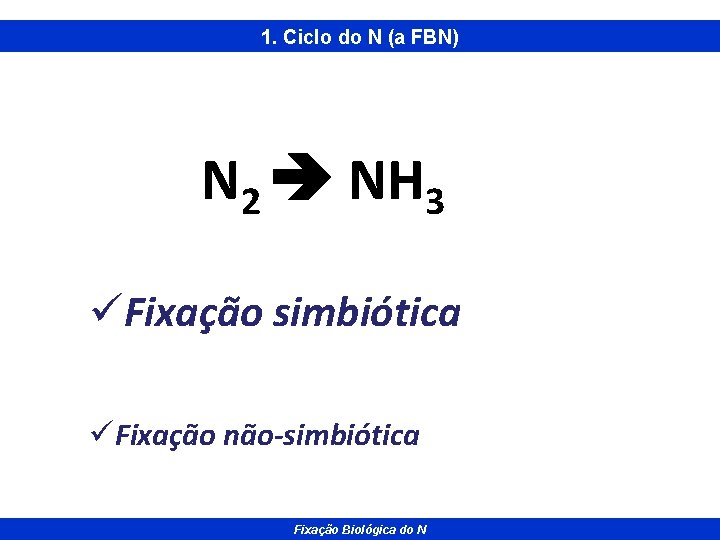 1. Ciclo do N (a FBN) N 2 NH 3 üFixação simbiótica üFixação não-simbiótica