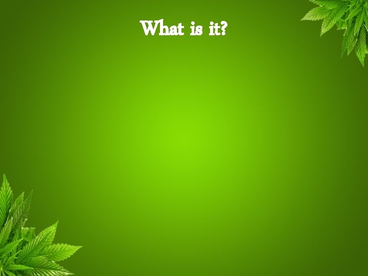 What is it? 