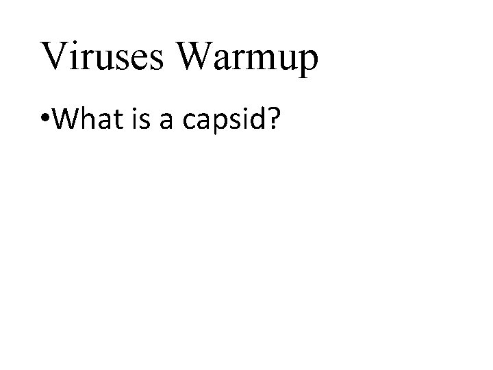 Viruses Warmup • What is a capsid? 