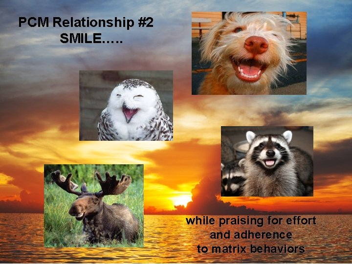 PCM Relationship #2 SMILE…. . while praising for effort and adherence to matrix behaviors