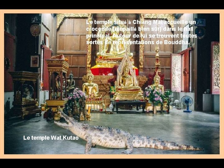 Le temple situé à Chiang Mai accueille un crocodile (empaillé bien sûr) dans le