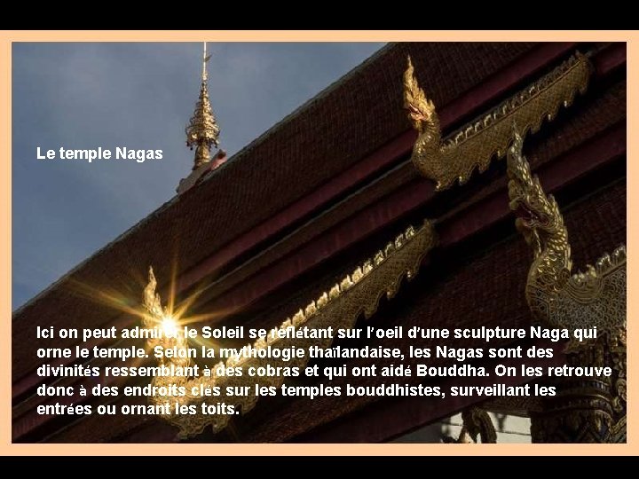 Le temple Nagas Ici on peut admirer le Soleil se reflétant sur l’oeil d’une