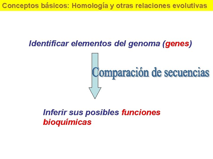 Conceptos básicos: Homología y otras relaciones evolutivas Identificar elementos del genoma (genes) Inferir sus