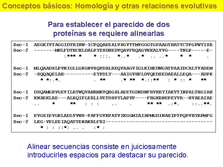 Conceptos básicos: Homología y otras relaciones evolutivas Para establecer el parecido de dos proteínas