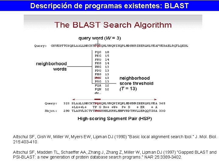 Descripción de programas existentes: BLAST Altschul SF, Gish W, Miller W, Myers EW, Lipman