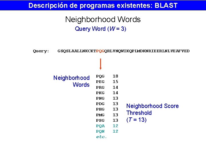Descripción de programas existentes: BLAST Neighborhood Words Query Word (W = 3) Query: GSQSLAALLNKCKTPQGQRLVNQWIKQPLMDKNRIEERLNLVEAFVED