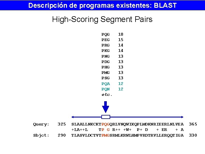 Descripción de programas existentes: BLAST High-Scoring Segment Pairs PQG PEG PRG PKG PNG PDG