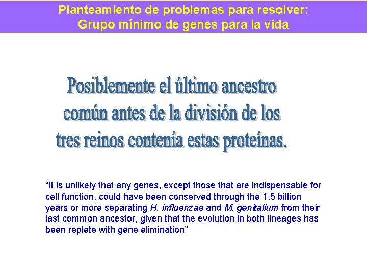 Planteamiento de problemas para resolver: Grupo mínimo de genes para la vida “It is