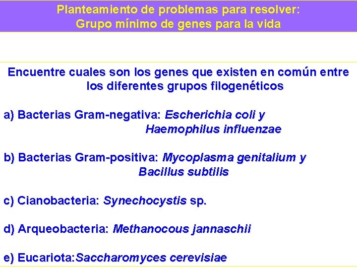 Planteamiento de problemas para resolver: Grupo mínimo de genes para la vida Encuentre cuales