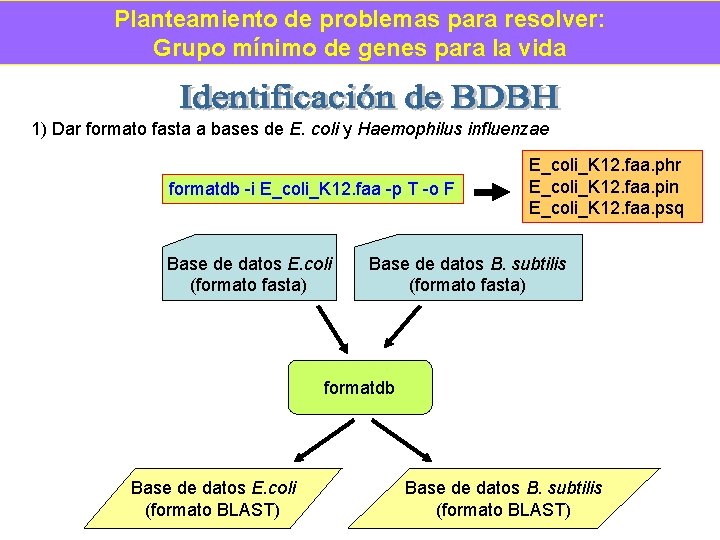 Planteamiento de problemas para resolver: Grupo mínimo de genes para la vida 1) Dar