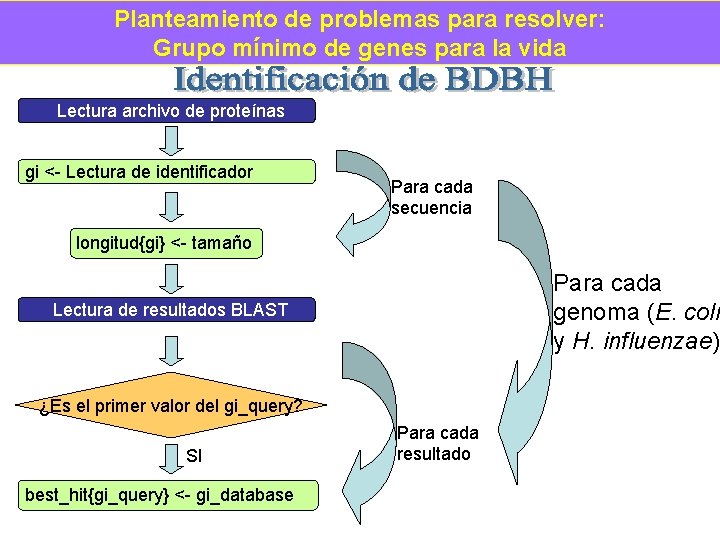 Planteamiento de problemas para resolver: Grupo mínimo de genes para la vida Lectura archivo