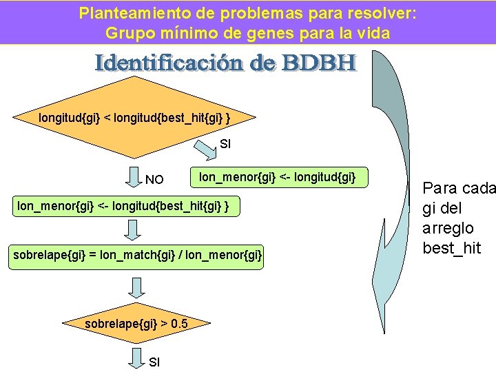 Planteamiento de problemas para resolver: Grupo mínimo de genes para la vida longitud{gi} <