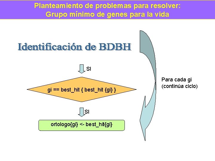 Planteamiento de problemas para resolver: Grupo mínimo de genes para la vida SI gi