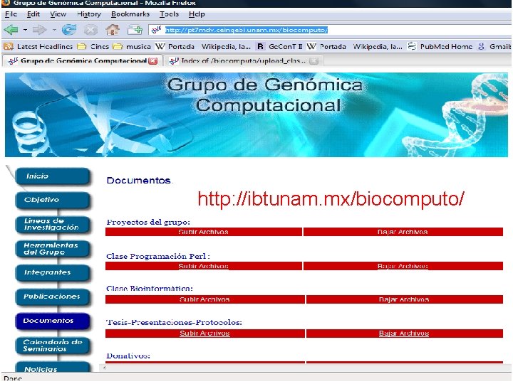 http: //ibtunam. mx/biocomputo/ 