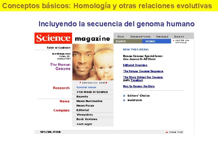 Conceptos básicos: Homología y otras relaciones evolutivas Incluyendo la secuencia del genoma humano 