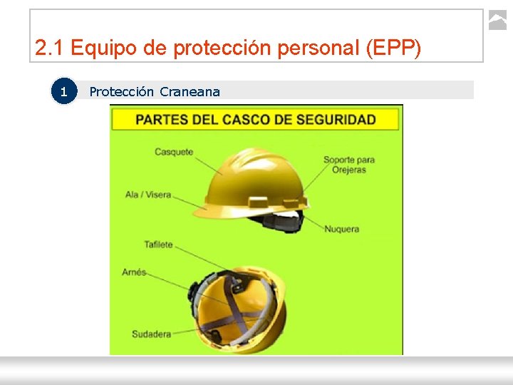 2. 1 Equipo de protección personal (EPP) 1 Protección Craneana Seguridad Industrial Ternium |