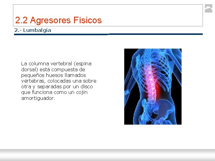 2. 2 Agresores Físicos 2. - Lumbalgia La columna vertebral (espina dorsal) está compuesta