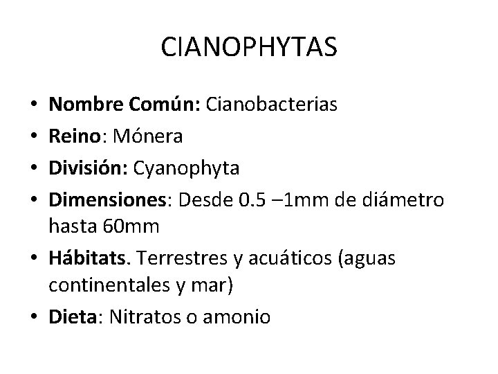 CIANOPHYTAS Nombre Común: Cianobacterias Reino: Mónera División: Cyanophyta Dimensiones: Desde 0. 5 – 1