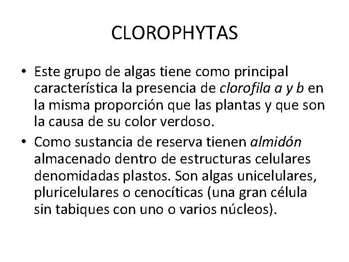 CLOROPHYTAS • Este grupo de algas tiene como principal característica la presencia de clorofila