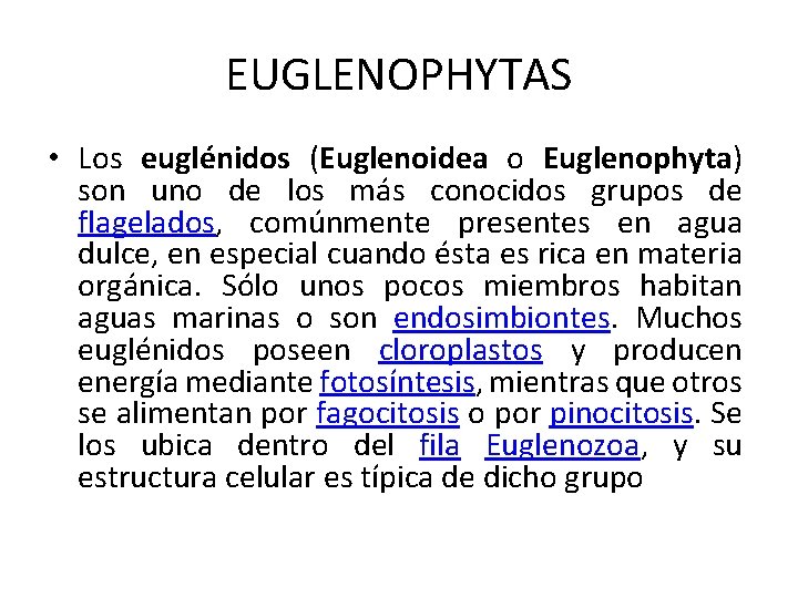 EUGLENOPHYTAS • Los euglénidos (Euglenoidea o Euglenophyta) son uno de los más conocidos grupos