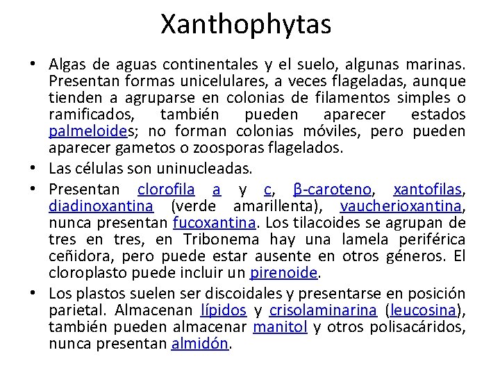 Xanthophytas • Algas de aguas continentales y el suelo, algunas marinas. Presentan formas unicelulares,