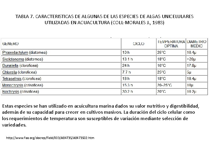 TABLA 7. CARACTERISTICAS DE ALGUNAS DE LAS ESPECIES DE ALGAS UNICELULARES UTILIZADAS EN ACUACULTURA