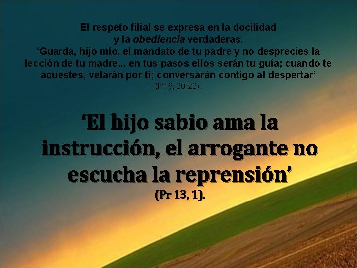 El respeto filial se expresa en la docilidad y la obediencia verdaderas. ‘Guarda, hijo