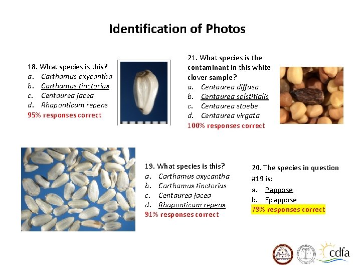 Identification of Photos 18. What species is this? a. Carthamus oxycantha b. Carthamus tinctorius