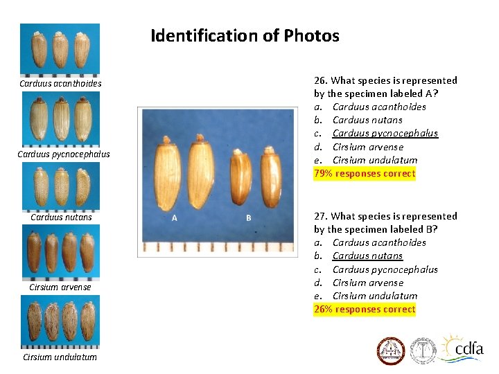 Identification of Photos Carduus acanthoides Carduus pycnocephalus Carduus nutans Cirsium arvense Cirsium undulatum 26.