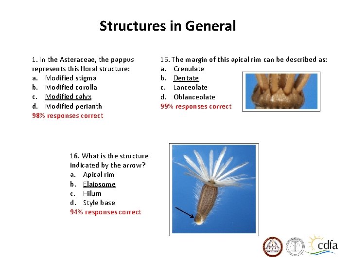 Structures in General 1. In the Asteraceae, the pappus represents this floral structure: a.