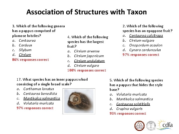 Association of Structures with Taxon 3. Which of the following genera has a pappus