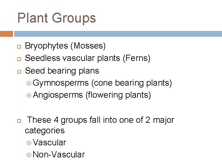 Plant Groups Bryophytes (Mosses) Seedless vascular plants (Ferns) Seed bearing plans Gymnosperms (cone bearing