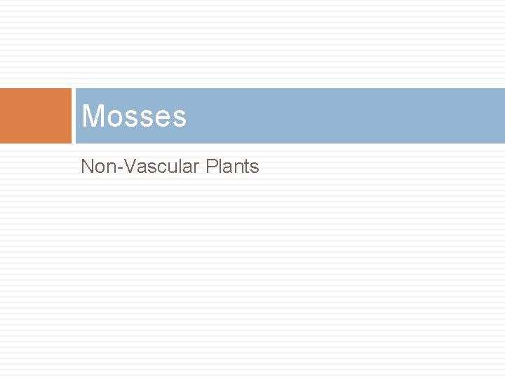 Mosses Non-Vascular Plants 