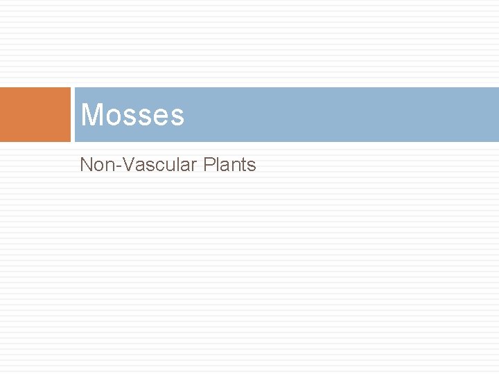 Mosses Non-Vascular Plants 