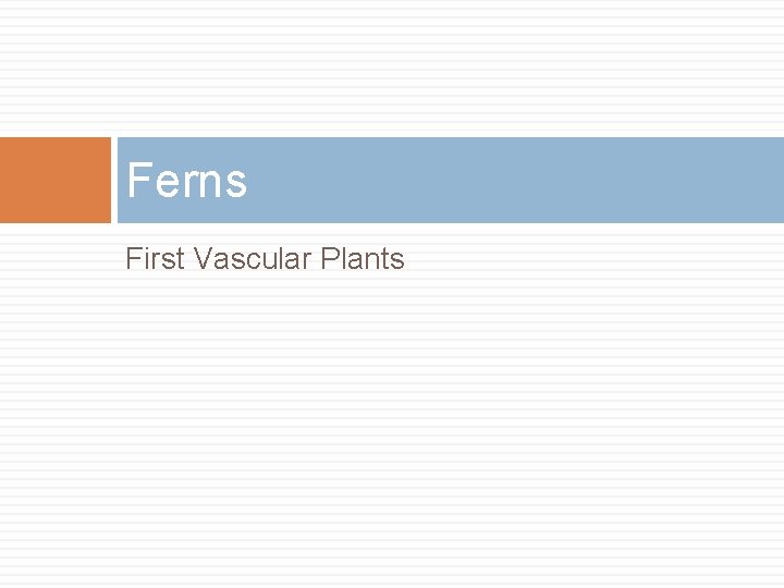 Ferns First Vascular Plants 