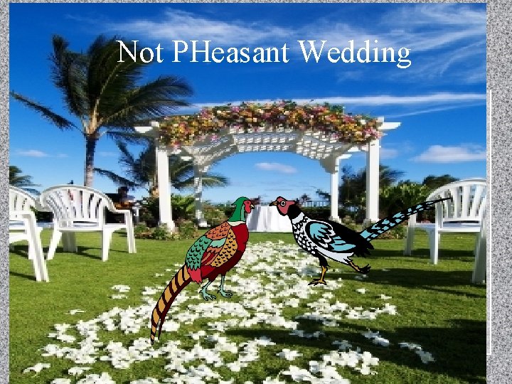 Not PHeasant Wedding 