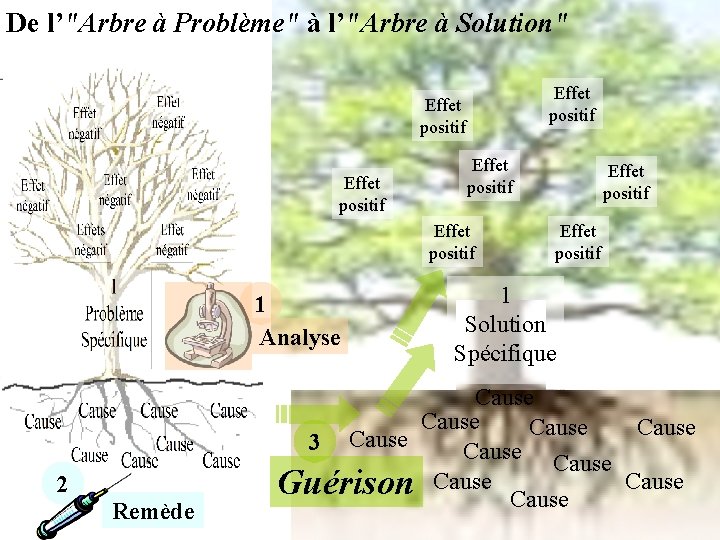 De l’"Arbre à Problème" à l’"Arbre à Solution" Effet positif Effet positif 1 Analyse