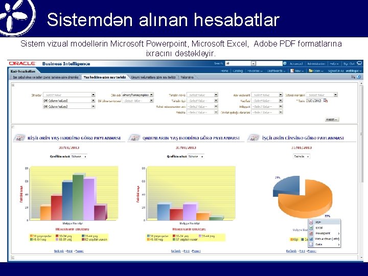 Sistemdən alınan hesabatlar Sistem vizual modellərin Microsoft Powerpoint, Microsoft Excel, Adobe PDF formatlarına ixracını