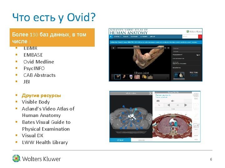 Что есть у Ovid? Более 130 баз данных, в том числе : § EBMR