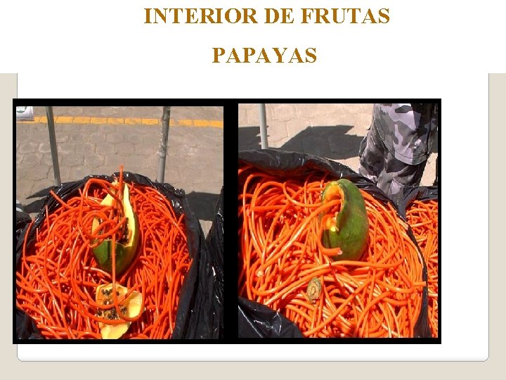 INTERIOR DE FRUTAS PAPAYAS 