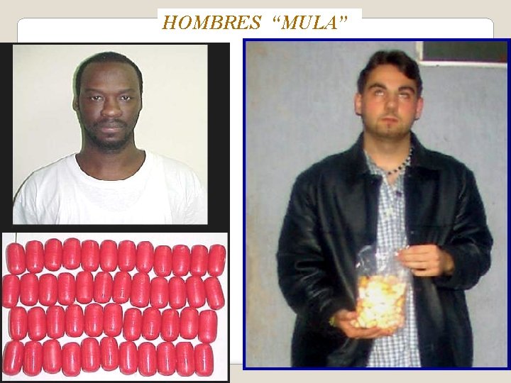 HOMBRES “MULA” 