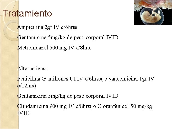 Tratamiento Ampicilina 2 gr IV c/6 hrss Gentamicina 5 mg/kg de peso corporal IVID