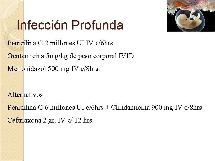 Infección Profunda Penicilina G 2 millones UI IV c/6 hrs Gentamicina 5 mg/kg de