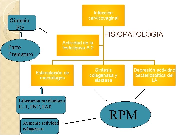 Infección cervicovaginal Síntesis PG FISIOPATOLOGIA Actividad de la fosfolipasa A 2 Parto Prematuro Estimulación