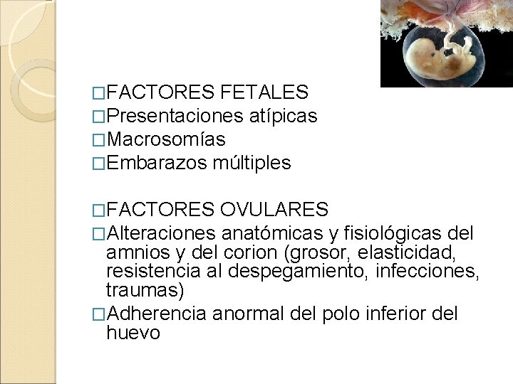 �FACTORES FETALES �Presentaciones atípicas �Macrosomías �Embarazos múltiples �FACTORES OVULARES �Alteraciones anatómicas y fisiológicas del