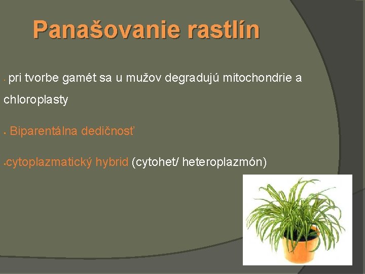 Panašovanie rastlín pri tvorbe gamét sa u mužov degradujú mitochondrie a § chloroplasty §