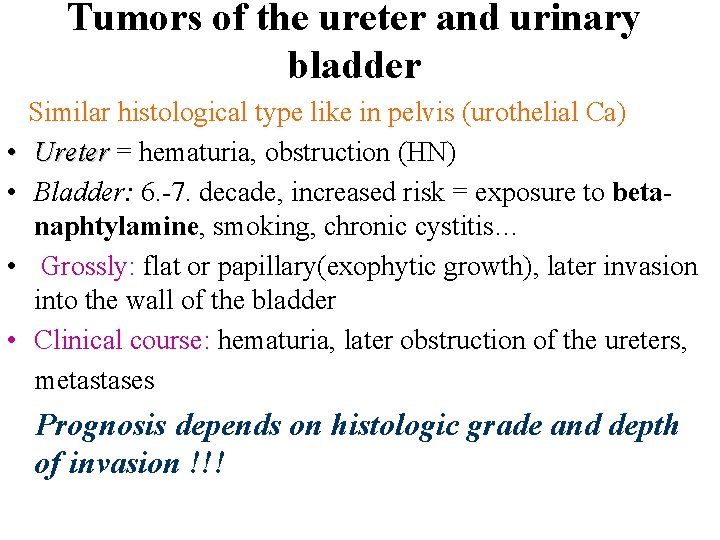 Tumors of the ureter and urinary bladder • • Similar histological type like in